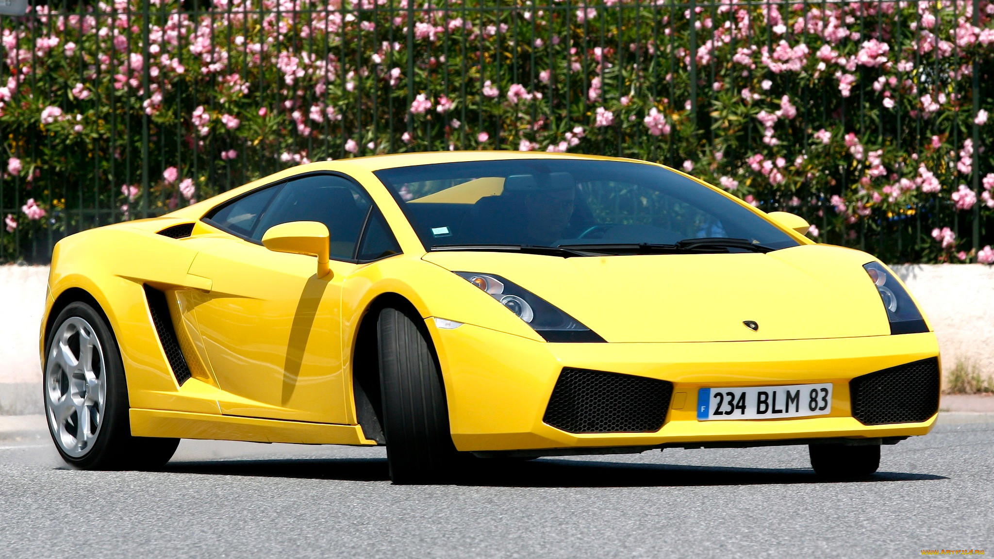 lamborghini, gallardo, , , , , 